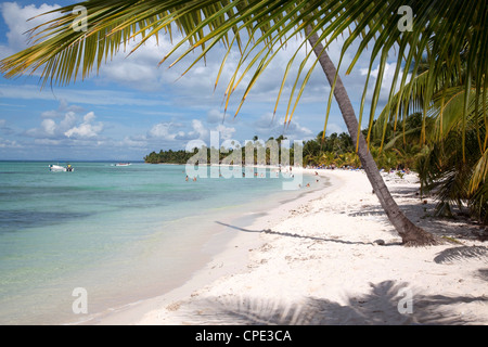 Isla Saona, Dominikanische Republik, Karibik, Karibik, Mittelamerika Stockfoto