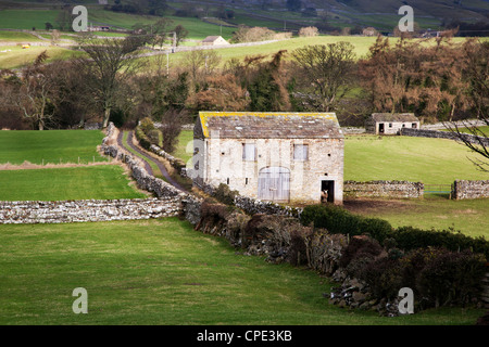 Feld-Scheune in der Nähe von Aysgarth, Yorkshire Dales, Yorkshire, England, Vereinigtes Königreich, Europa Stockfoto