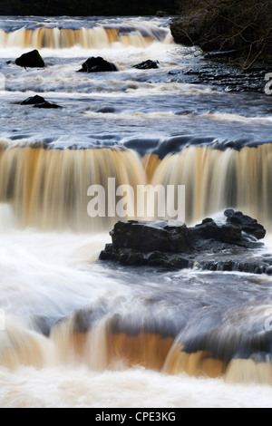 Upper Aysgarth Falls, Aysgarth, Yorkshire Dales, Yorkshire, England, Vereinigtes Königreich, Europa Stockfoto