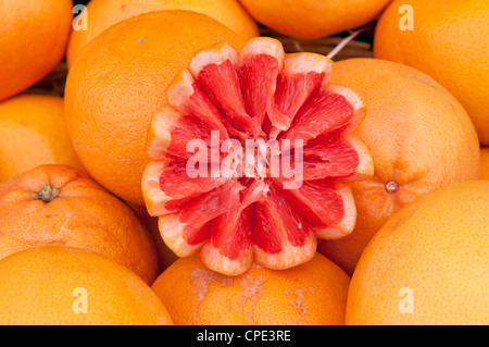 Geschnitzte Blutorange in der Altstadt Nizza Südfrankreich Stockfoto