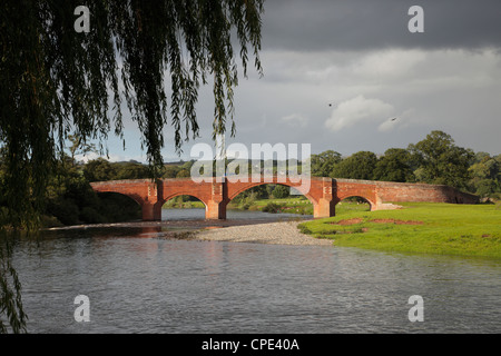 Willow über Eden Brücke, Lazonby, Eden Valley Cumbria England UK Stockfoto