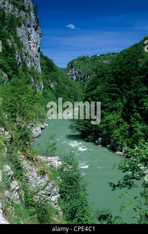 Tara-Schlucht und der Fluss Tara, Tramontana, Montenegro, Europa Stockfoto