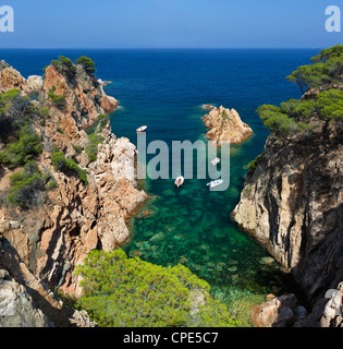 Einsame Bucht, Aiguaxelida, in der Nähe von Palafrugell, Costa Brava, Katalonien, Spanien, Mittelmeer, Europa Stockfoto