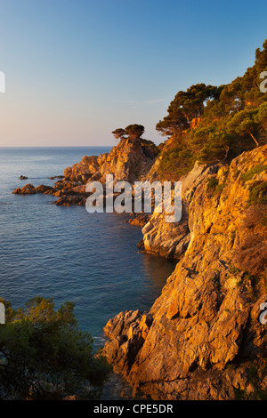 Küste im Morgengrauen, Calella de Palafrugell, Costa Brava, Katalonien, Spanien, Mittelmeer, Europa Stockfoto