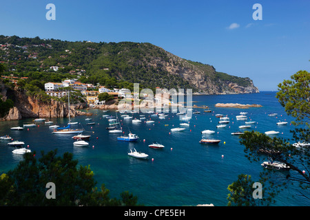 Blick über die Bucht von Aiguablava, in der Nähe von Begur, Costa Brava, Katalonien, Spanien, Mittelmeer, Europa Stockfoto