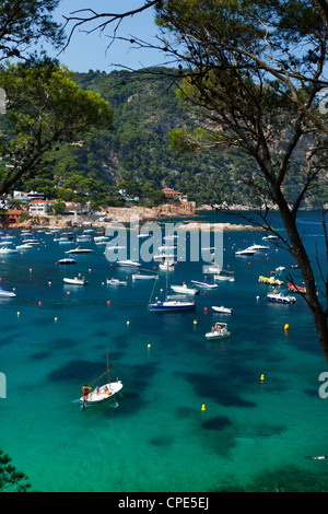 Blick über die Bucht von Aiguablava, in der Nähe von Begur, Costa Brava, Katalonien, Spanien, Mittelmeer, Europa Stockfoto