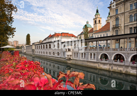 Riverside Markthallen und die Kathedrale St. Nikolaus auf dem Fluss Ljubljanica, Ljubljana, Slowenien, Europa Stockfoto