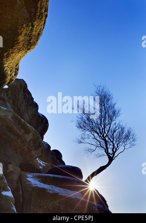 Sunburst hinter ein einsamer Baum und eine Prise von Schnee am Brimham Rocks, Yorkshire, England, Vereinigtes Königreich, Europa Stockfoto