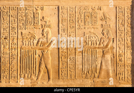 Relief an der Zwilling Tempel von Sobek und Haroeris, Kom Ombo, Ägypten, Nordafrika, Afrika Stockfoto