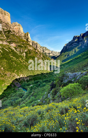 Die Vikos-Schlucht und Voidomatis Federn, Epirus, Griechenland, Europa Stockfoto