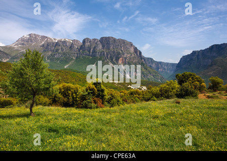 Wildblumenwiese mit den Astraka Türmen und Vikos-Schlucht in die Ferne, Epirus, Griechenland, Europa Stockfoto