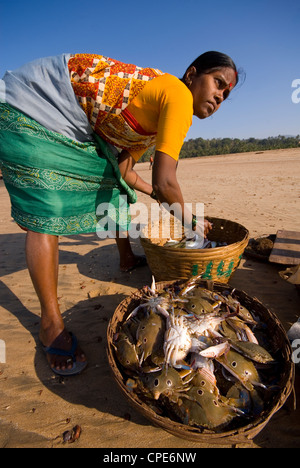 Frau sortieren fangen, Agonda Beach Goa, Indien, Asien Stockfoto