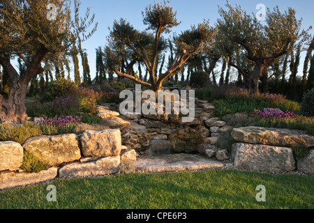 Mediterraner Garten mit alten Olivenbäumen und Kräutergarten in Hochbeeten Gärten Wasserfall über Felsen UK Stockfoto