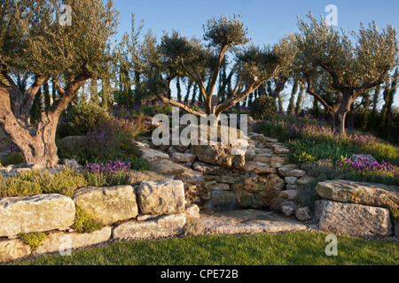 Mediterraner Garten mit alten Olivenbäumen und Kräutergarten in Hochbeeten Gärten Wasserfall über Felsen UK Stockfoto