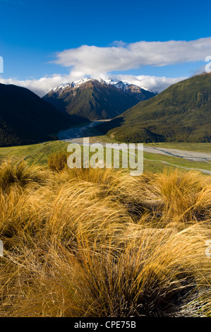 Arthurs Pass Nationalpark, Südinsel, Neuseeland, Pazifik Stockfoto