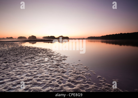 Ein Teich (Etang) im Naturpark La Brenne (Pays Aux Mille Etangs), Indre, Loire-Tal, Centre, Frankreich Stockfoto