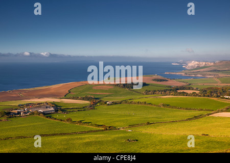 Blick über die Küste von Dorset zu Kimmeridge Bay und Clavell Tower, Jurassic Coast, Dorset, England, Vereinigtes Königreich, Europa Stockfoto