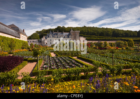 Chateau de Villandry, UNESCO-Weltkulturerbe, Villandry, Indre-et-Loire, Loire-Tal, Frankreich Stockfoto