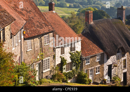 Der berühmten gepflasterten Straße von Gold Hill in Shaftesbury, Dorset, England, Vereinigtes Königreich, Europa Stockfoto