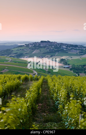 Blick nach unten Weinberge in Richtung Dorf von Sancerre, Cher, Loire-Tal, Centre, Frankreich Stockfoto