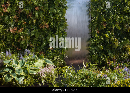 Garden Living Wall Farn Farne Pflanzen in einem vertikalen Garten und Wasserfall Hosta Hostas Camassia camassias leichtlinii Blue Wild Hyazinthen Frühling Großbritannien Stockfoto