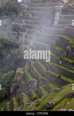 Landwirtschaftlichen Terrassen in der Inka-Stadt Machu Picchu, UNESCO-Weltkulturerbe, Peru, Südamerika Stockfoto