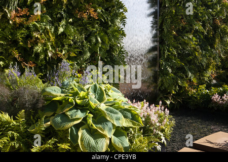 Garden Living Wall Farns Pflanzen in einem vertikalen Garten und Wasserfall Hosta Hostas Camassia Camassias Farne Blue Wild Hyazinthen Frühling Großbritannien Stockfoto