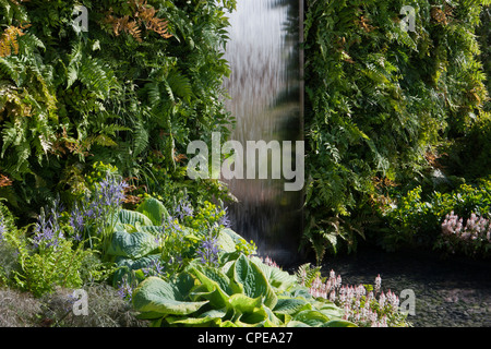 Garden Living Wall Farns Pflanzen in einem vertikalen Garten und Wasserfall Hosta Hostas Camassia Camassias Farne Blue Wild Hyazinthen Frühling Großbritannien Stockfoto