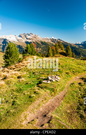 Wanderweg in Schweizer Alpen bei Maennlichen oberhalb Grindelwald, Schweiz Stockfoto