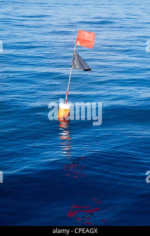 Longliner und Trammel net Boje mit Fahnenstange im blauen Meer Stockfoto