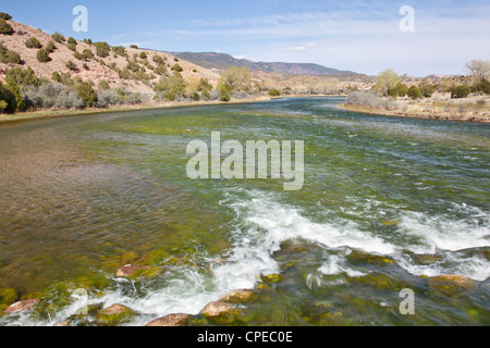 Green River Bridge Hollow, Browns Park, Utah unter Flaming Gorge Dam, Frühling, nachgeschaltete suchen Stockfoto