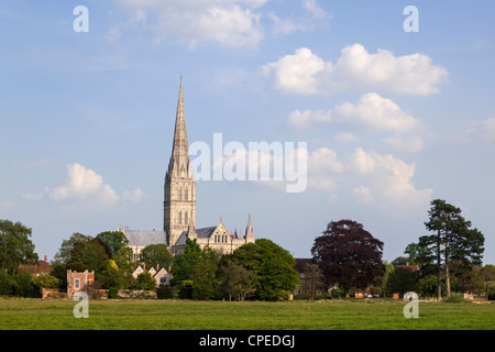 Die Kathedrale von Salisbury, die zwischen 1310 und 1330 erbaut wurde, hat den höchsten Turm Englands. Salisbury, Wiltshire England. Stockfoto