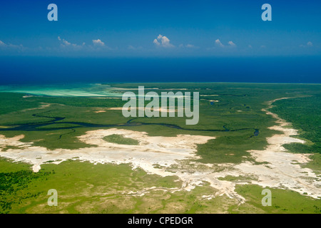 Mangroven entlang der Küste des Quirimbas National Park in Mosambik. Stockfoto