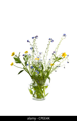 Saisonalen Wildblumen in Glasvase auf weißem Hintergrund Stockfoto