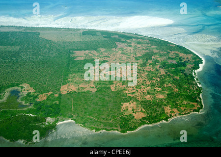 Palmenhain auf Quirimba Insel in der Quirimbas Archipel vor der Küste Mosambiks. Stockfoto