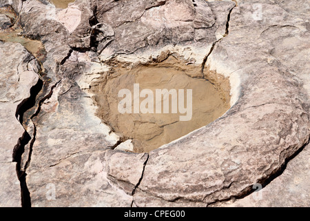 Versteinerte Dinosaurierspuren im Nationalpark Toro Toro, Bolivien - Kreidezeit Stockfoto