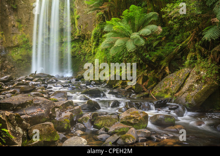 Ein Wasserfall und ein Stream im Great Otway National Park, Victoria, Australien. Stockfoto