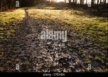 Schlamm-Erosion auf Kalksteingebieten Wanderweg in der Nähe von Wald durch Wanderer Wanderer im Frühjahr am frühen Morgen-Dämmerung Stockfoto