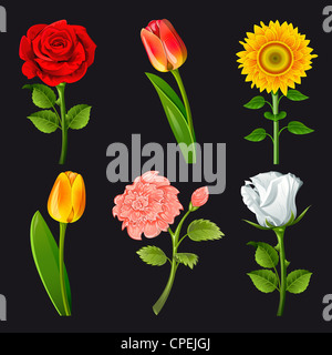 Sammlung von Blumen in verschiedenen Farben. Stockfoto