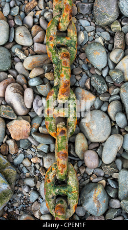 Rusty korrodierte Boot Kette auf einem Kieselstrand. Devon, UK Stockfoto