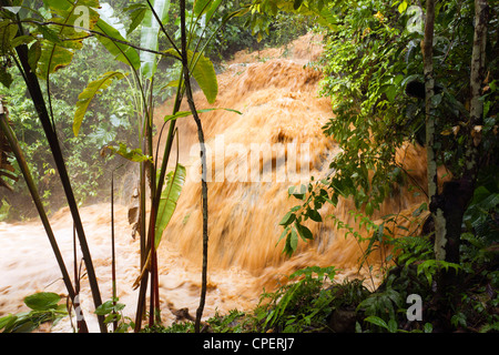 Schlamm und Wasser strömte ein Dschungel-Wasserlauf nach sehr starken Regenfällen. Auf der pazifischen Küste von Ecuador. Stockfoto