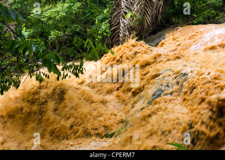 Schlamm und Wasser strömte ein Dschungel-Wasserlauf nach sehr starken Regenfällen. Auf der pazifischen Küste von Ecuador. Stockfoto