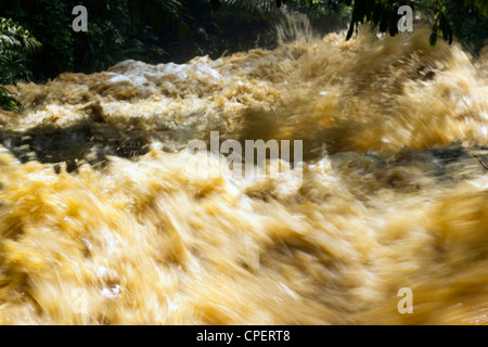 Schlamm und Wasser strömte ein Dschungel-Wasserlauf nach sehr starken Regenfällen. Auf der pazifischen Küste von Ecuador. Stockfoto