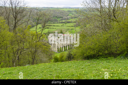 Rievaulx Abbey, Yorkshire, England - mittelalterlichen klösterlichen Abtei berühmt für seine Umgebung. Stockfoto