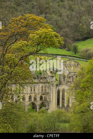 Rievaulx Abbey, Yorkshire, England - mittelalterlichen klösterlichen Abtei berühmt für seine Umgebung. Stockfoto