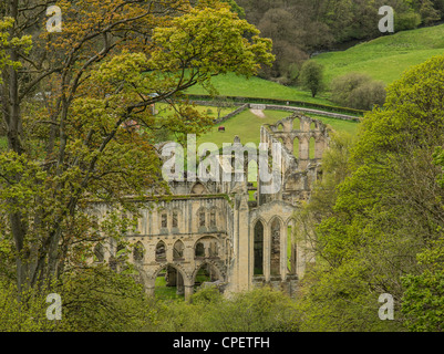 Rievaulx Abbey, Yorkshire, England - mittelalterlichen klösterlichen Abtei berühmt für seine Umgebung. Stockfoto