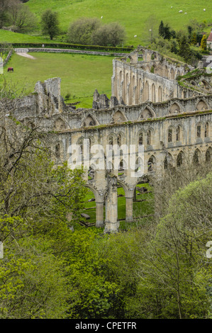 Rievaulx Abbey, Yorkshire, England - mittelalterlichen klösterlichen Abtei berühmt für seine Umgebung. Stockfoto