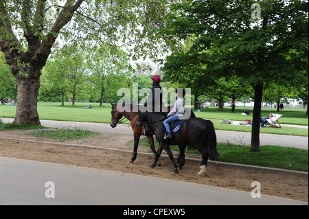 Reiten in Rotten Row, Hyde Park, London. Stockfoto