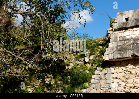 Nahaufnahme einer bröckelnden Maya Wand inmitten der Ruinen von Chichen Itza, Yucatan, Mexiko. Stockfoto