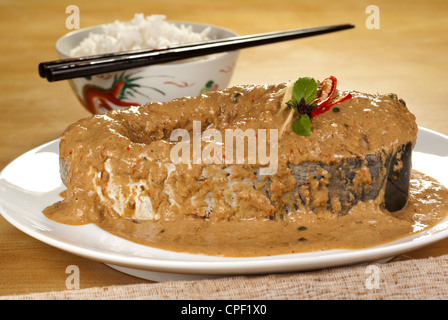 Fluss Welse im grünen Pfeffer gebratener Curry Stockfoto